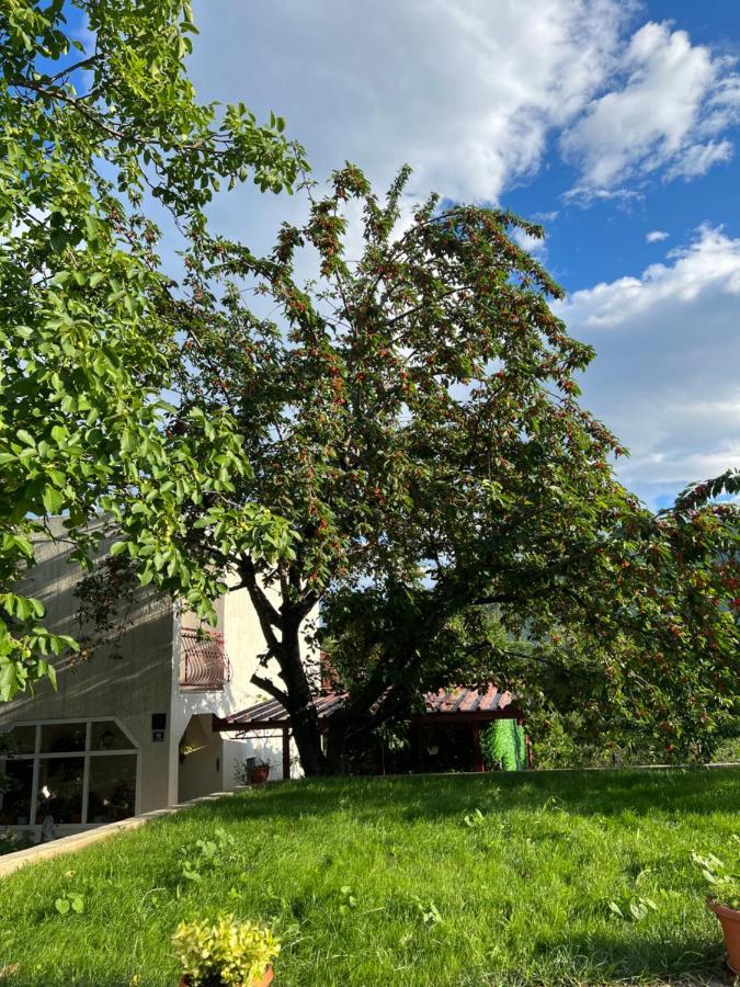 Apartament Green Valley Omiš Exteriör bild